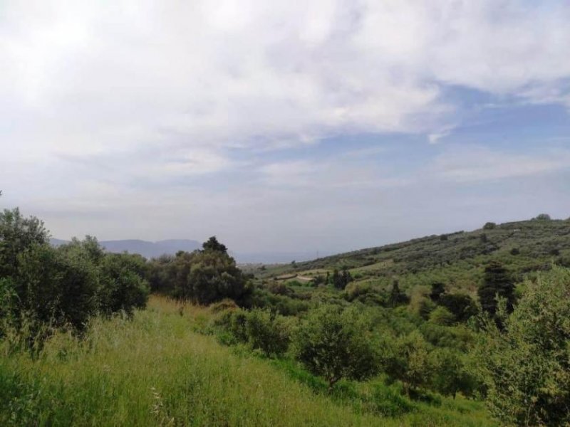 Kastellos bei Kournas Kreta, Kastellos: Grundstück mit Meerblick zu verkaufen Grundstück kaufen